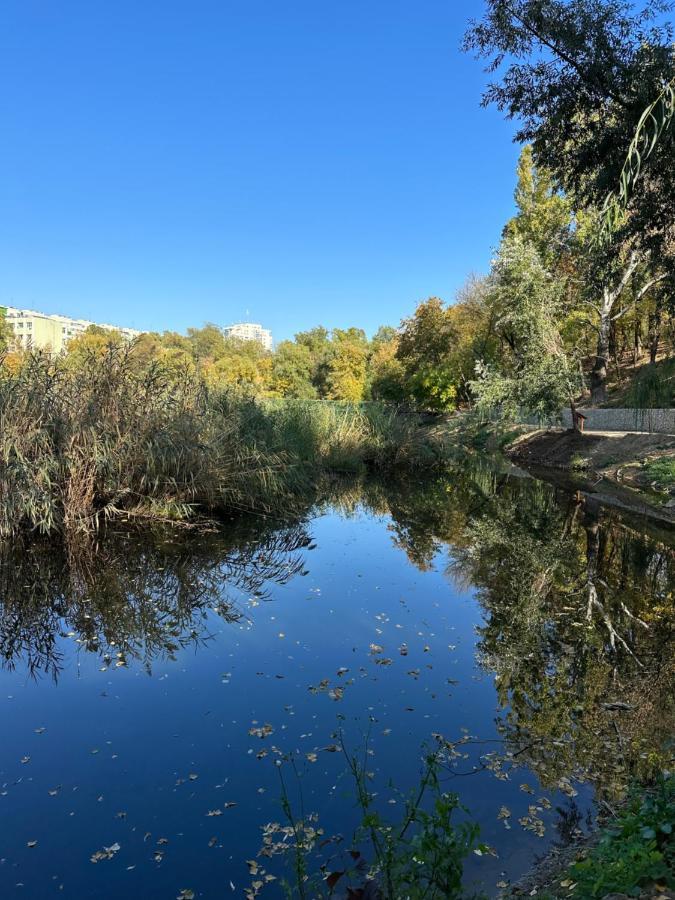 Green Tam - Nature Heaven - Private Parking Bükreş Dış mekan fotoğraf