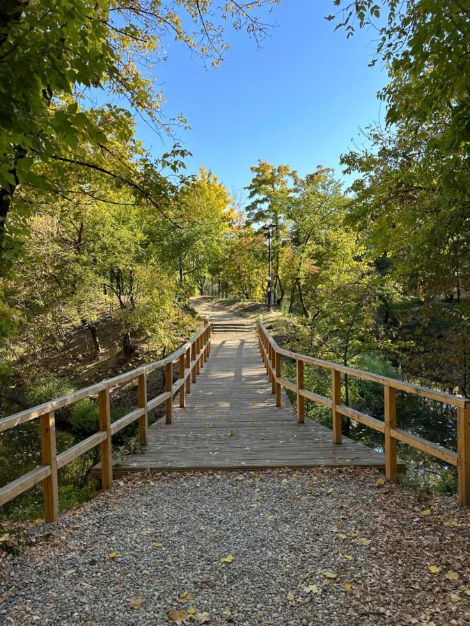 Green Tam - Nature Heaven - Private Parking Bükreş Dış mekan fotoğraf